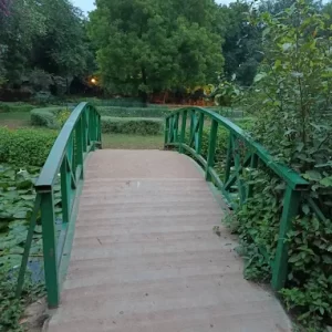 unnamed - 2025-05-31T133138.734