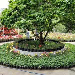 unnamed - 2025-05-31T133225.004