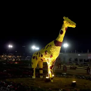 unnamed - 2025-05-31T133230.908