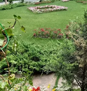 unnamed - 2025-05-31T133443.576