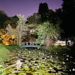 unnamed - 2025-05-31T133718.436