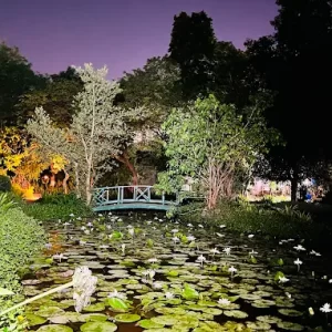 unnamed - 2025-05-31T133718.436