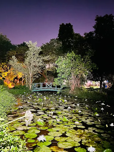 unnamed - 2025-05-31T133718.436