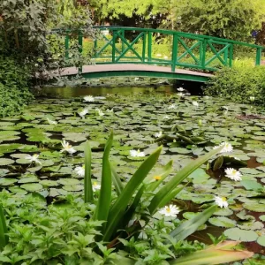 unnamed - 2025-05-31T133956.883